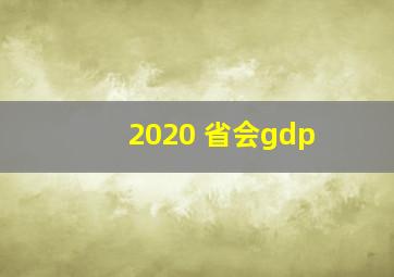 2020 省会gdp